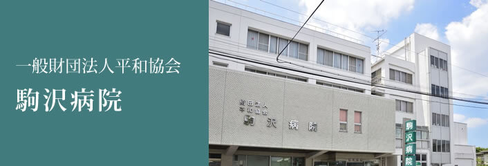 一般財団法人平和協会　駒沢病院